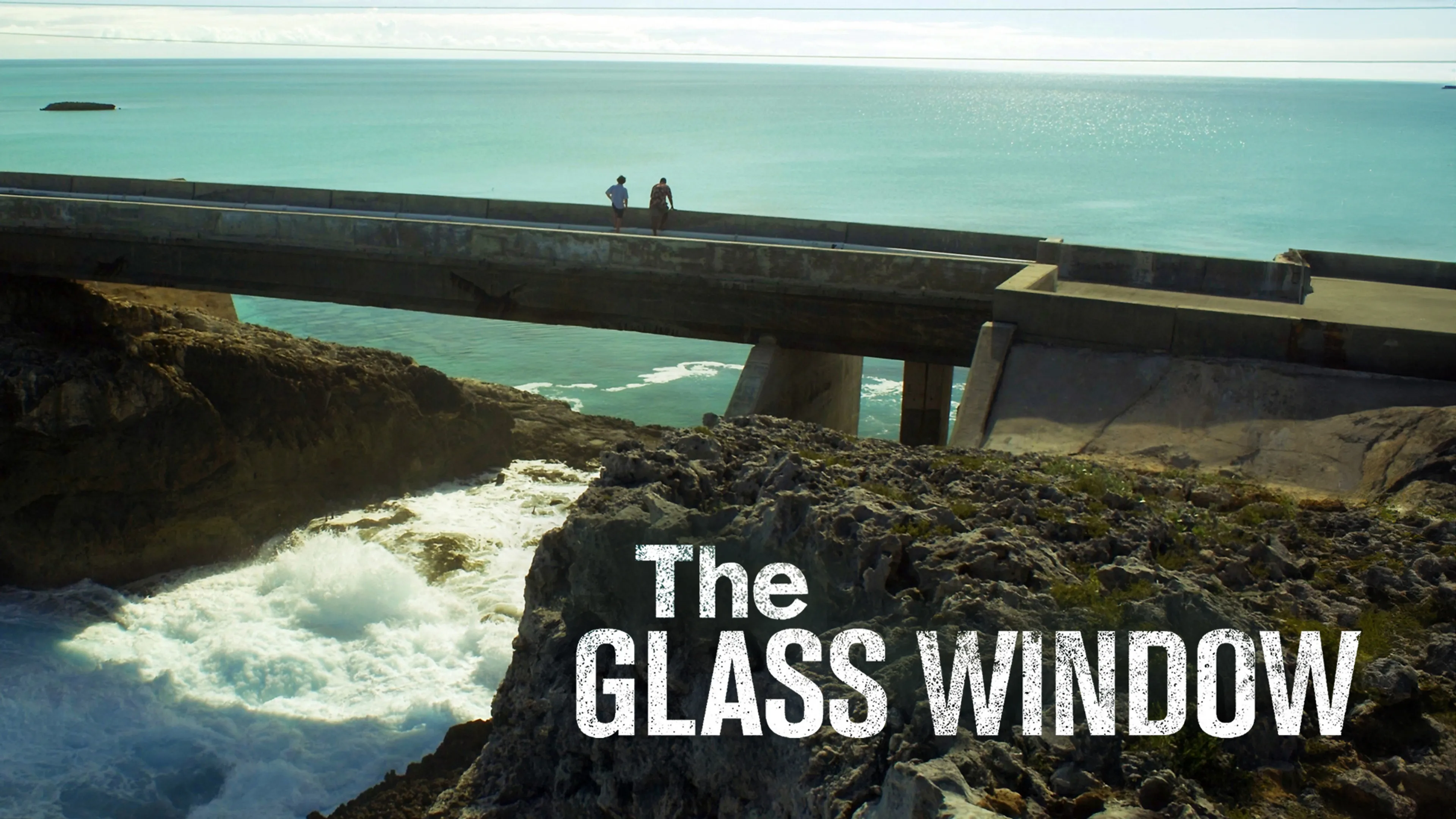 The Glass Window poster